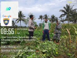 WhatsApp Image 2024-12-31 at 13.25.37