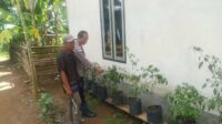 Bhabinkamtibmas Taman Baru Aktif Jalin Silaturahmi, Dukung Ketahanan Pangan Warga (1) Polri dan Warga Bangun Ketahanan Pangan Lewat Pekarangan Rumah di Sekotong