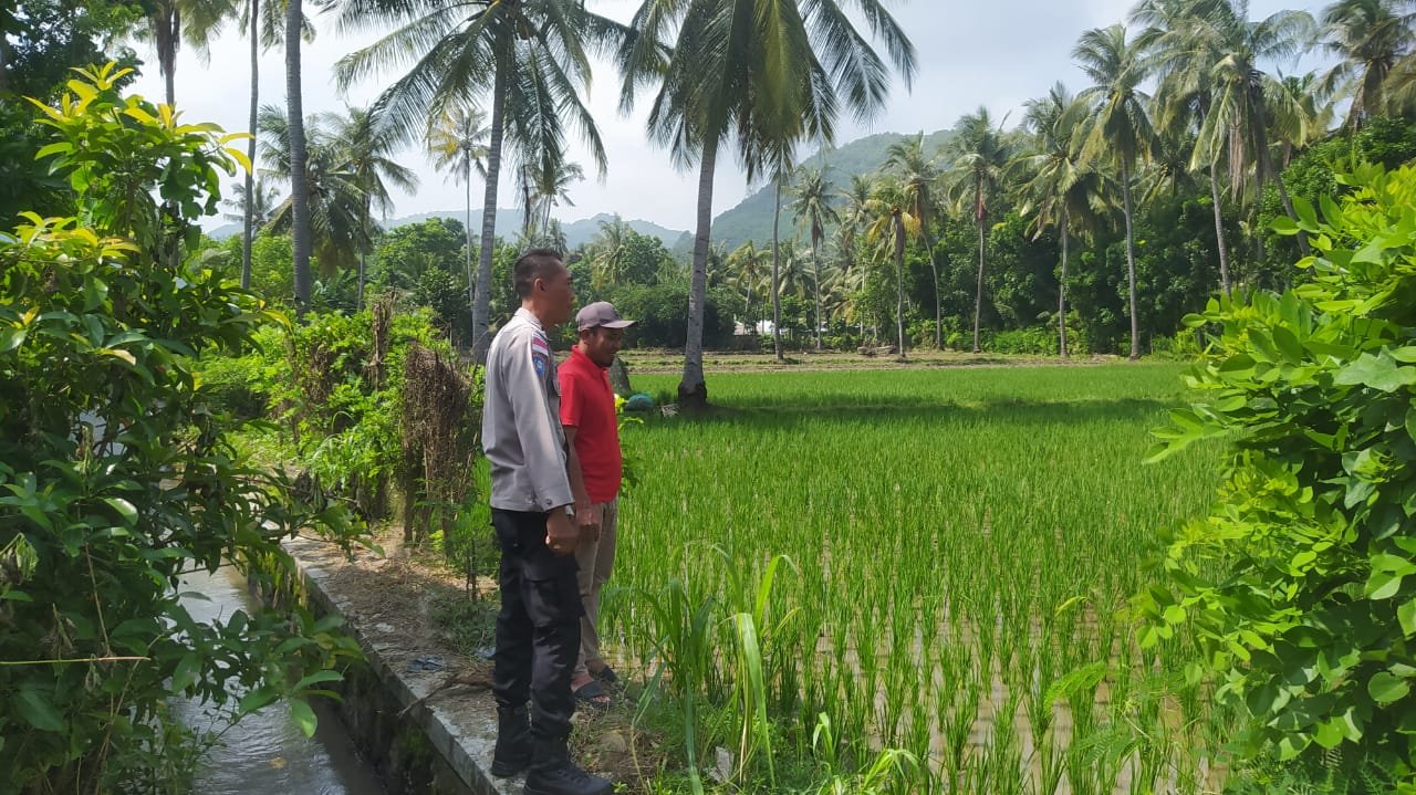 Bhabinkamtibmas Sekotong Dukung Swasembada Pangan di Batu Putih
