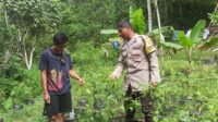 Polri Dukung Ketahanan Pangan di Batulayar Lombok Barat (2) Polri Dukung Ketahanan Pangan di Batulayar Lombok Barat