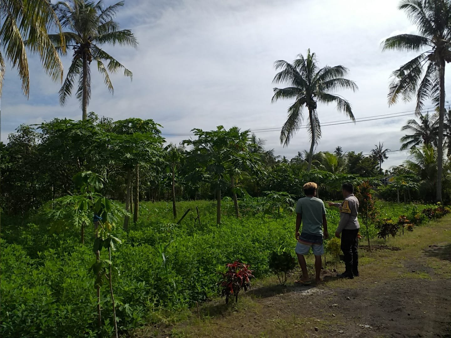 Polri Dukung Ketahanan Pangan di Dusun Tambang Eleh, Lombok Barat