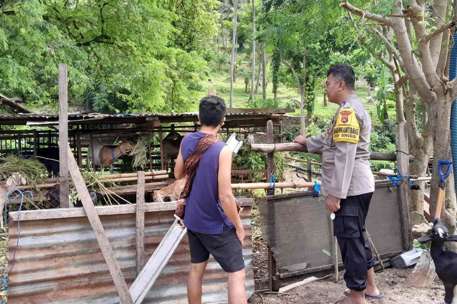 Ketahanan Pangan di Senggigi: Polisi Turun Tangan Bantu Petani