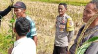 Bhabinkamtibmas Desa Rumak Ajak Warga Manfaatkan Lahan Kosong untuk Ketahanan Pangan (1)