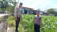 Bhabinkamtibmas Labuapi Dorong Pemanfaatan Lahan Kosong untuk Ketahanan Pangan (1)