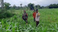 Sinergi Polisi dan Petani di Dusun Nyiur Gasing Dukung Ketahanan Pangan