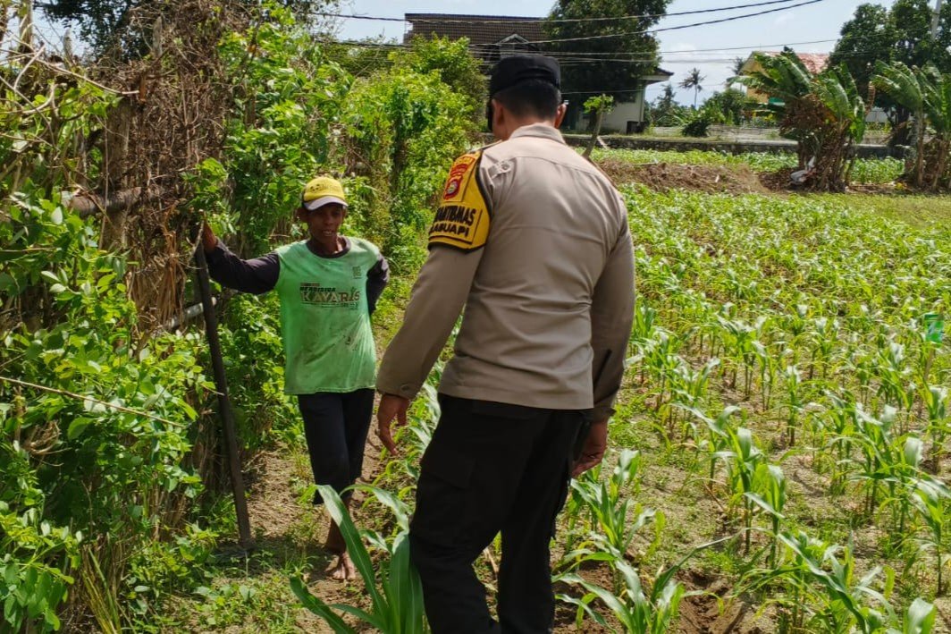 Bhabinkamtibmas di Labuapi dan Warga Bersinergi Jaga Ketahanan Pangan Nasional