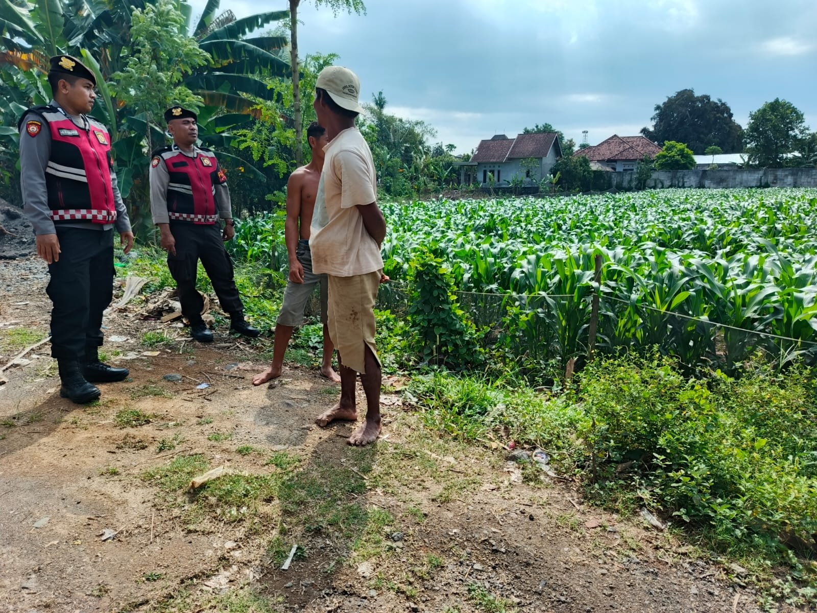 Polres Lobar Kawal Petani Wujudkan Ketahanan Pangan Nasional