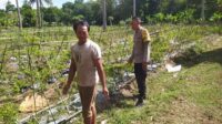 Polsek Sekotong Ajak Petani Berdayakan Lahan Produktif di Dusun Berambang