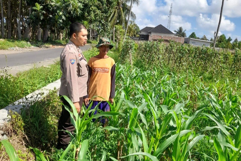 Kepolisian Kediri Bina Petani Jagung Gelogor, Perkuat Ekonomi dan Pangan Lokal
