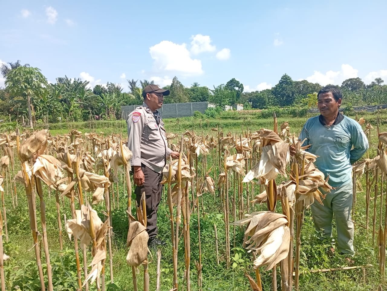 Situasi Desa Merembu Kondusif, Polisi Ajak Warga Fokus pada Kemandirian Pangan