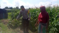 Bhabinkamtibmas dan Petani Bersatu Perkuat Ketahanan Pangan Lokal