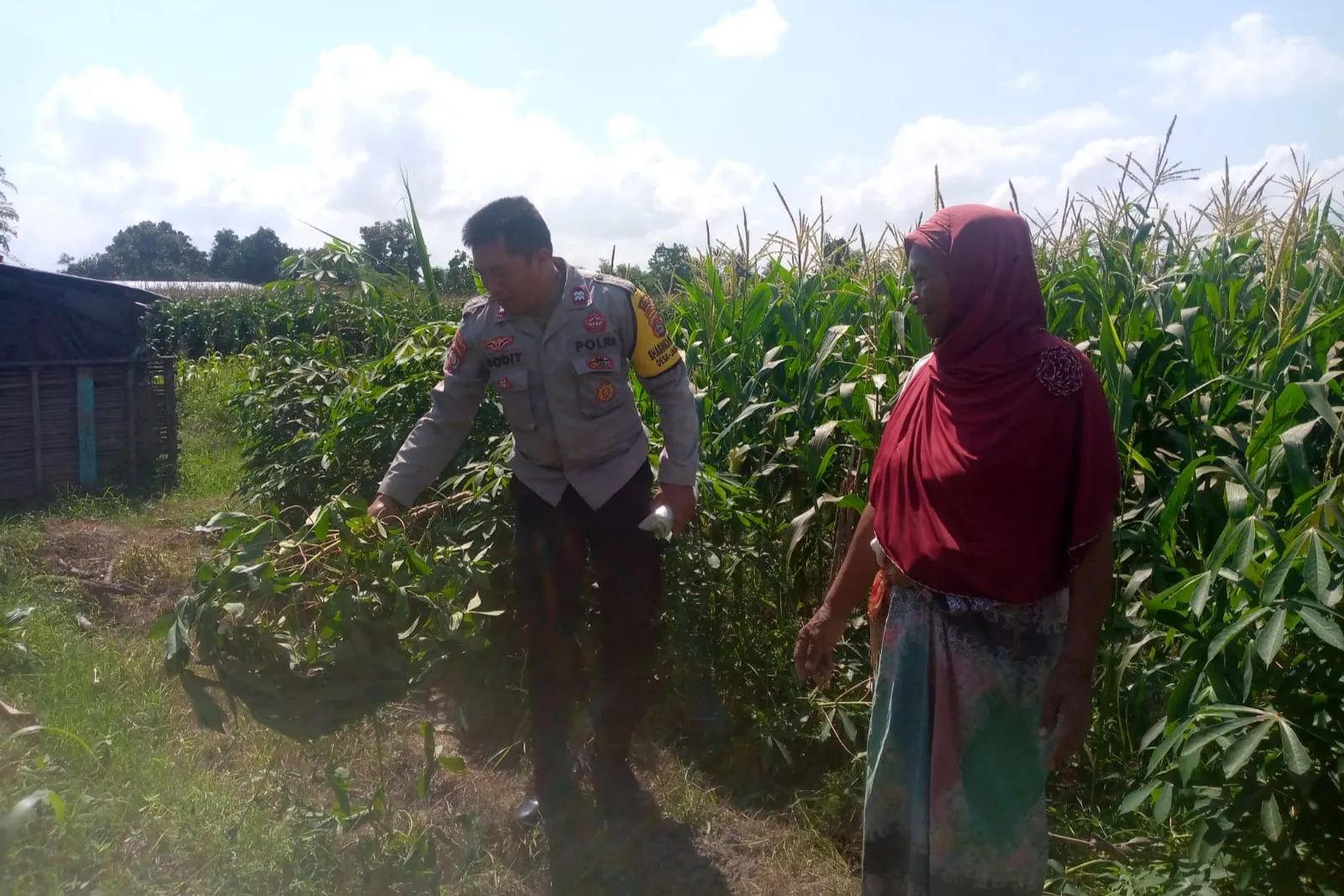 Bhabinkamtibmas dan Petani Bersatu Perkuat Ketahanan Pangan Lokal