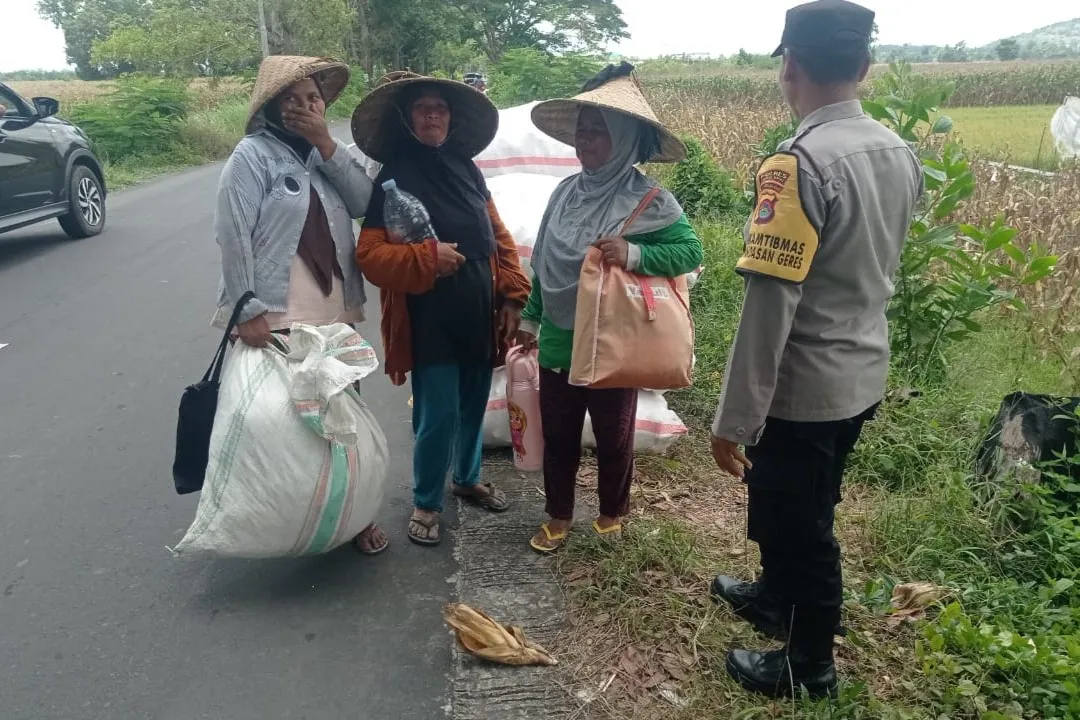 Peran Polisi di Balik Panen Jagung Sukses Petani Lombok Barat