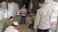 Kualitas Jagung Batulayar Capai Standar BULOG, Polsek Apresiasi Petani