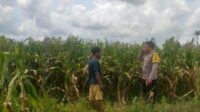 Sinergi Polri dan Warga Wujudkan Kemandirian Pangan di Lombok Barat